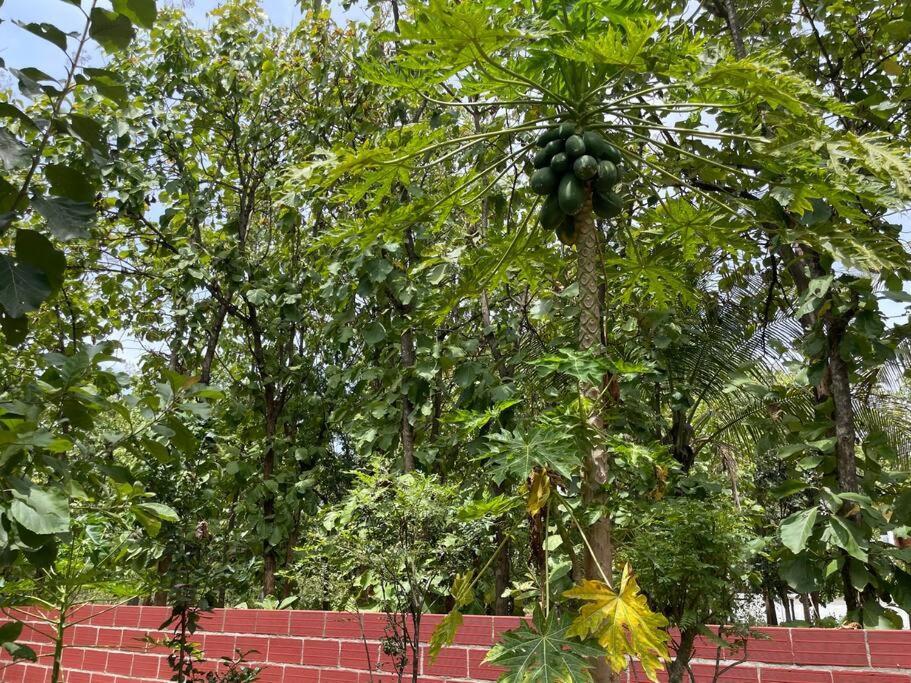 'Vrindavan' In Heritage City Mysuru Dış mekan fotoğraf